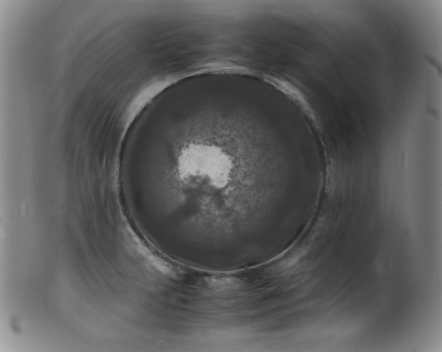 X0000099551231200805161444
