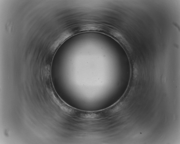 X0000099551233200805161444