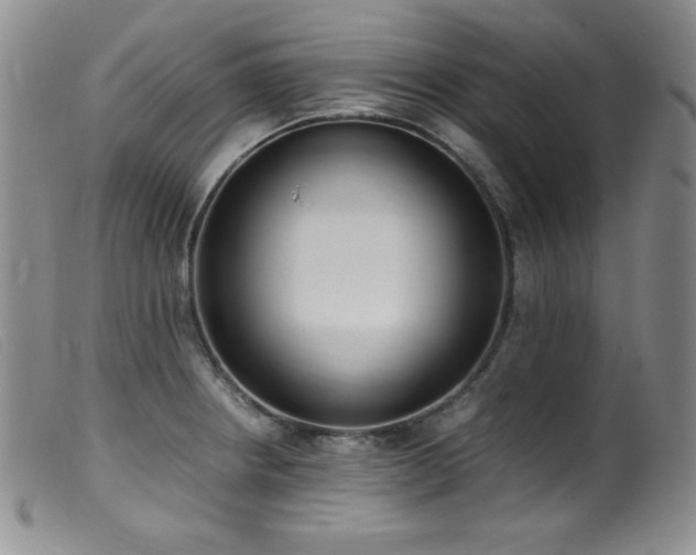 X0000099551234200805161444