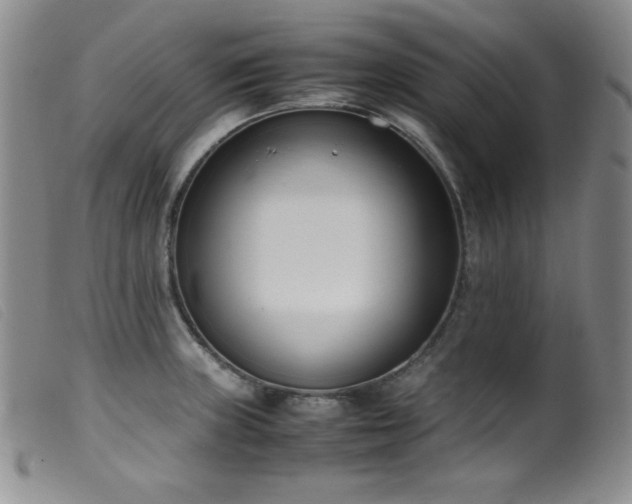 X0000099551235200805161444