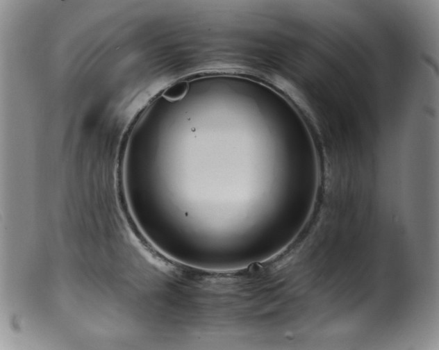 X0000099551237200805161444
