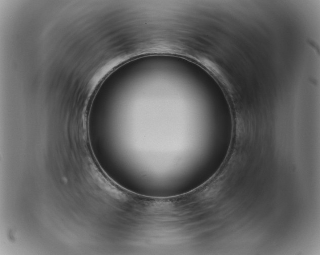 X0000099551238200805161444