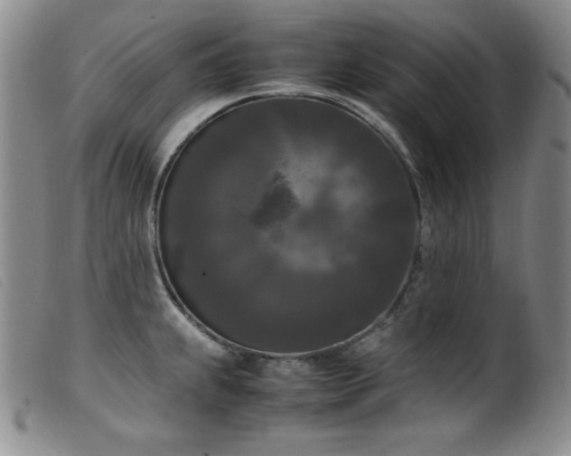 X0000099551239200805161444