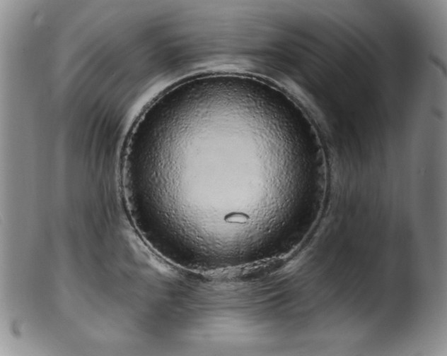 X0000099551240200805161444