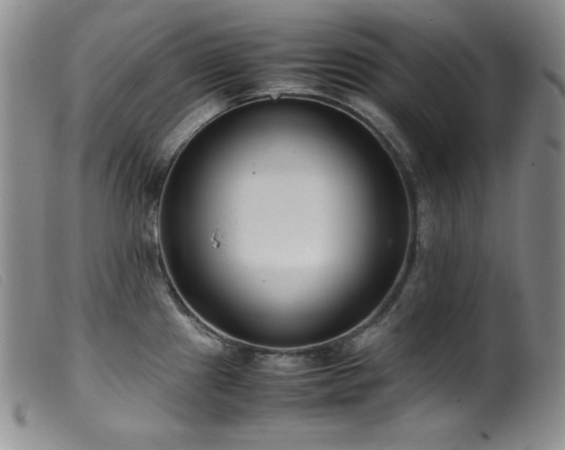 X0000099551241200805161444