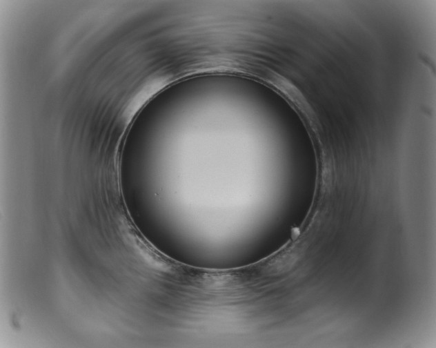 X0000099551242200805161444