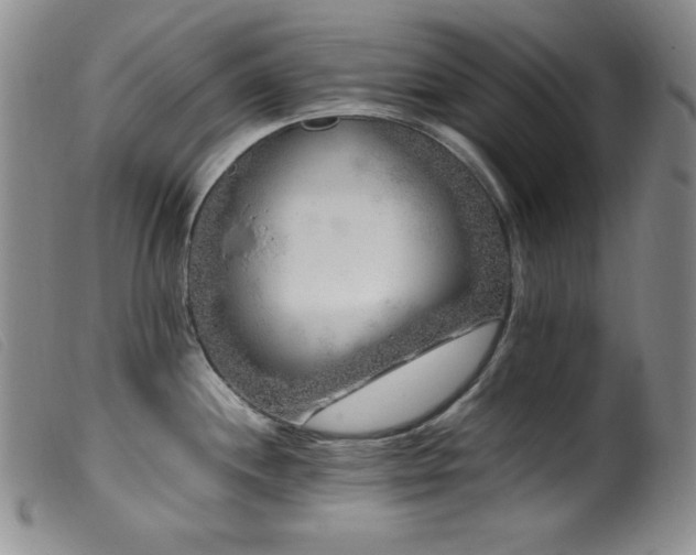 X0000099551244200805161444