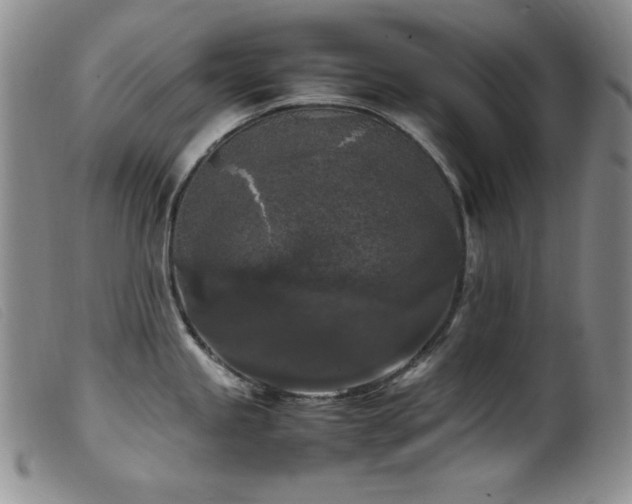 X0000099551245200805161444