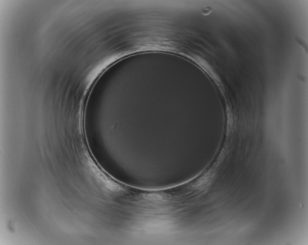 X0000099551246200805161444