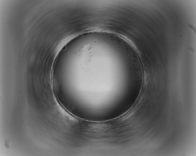 X0000099551247200805161444