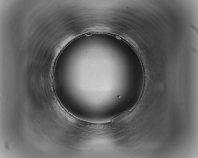 X0000099551248200805161444