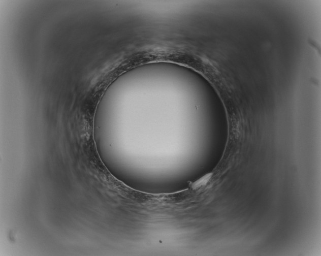X0000099551253200805161443