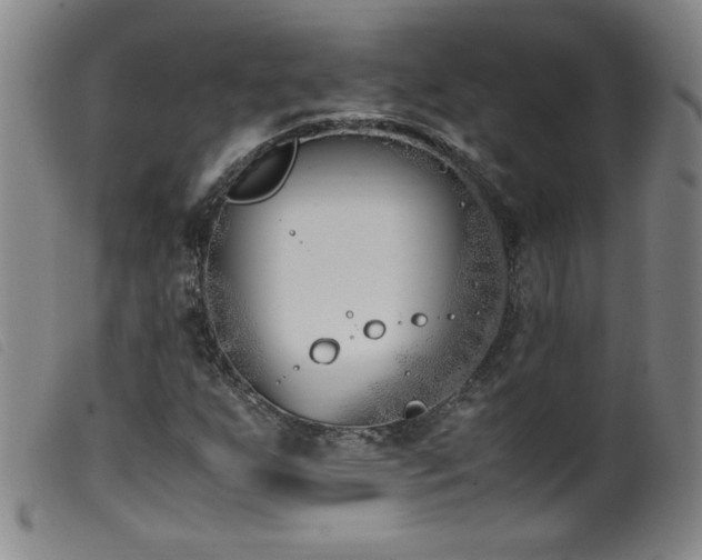 X0000099551255200805161443