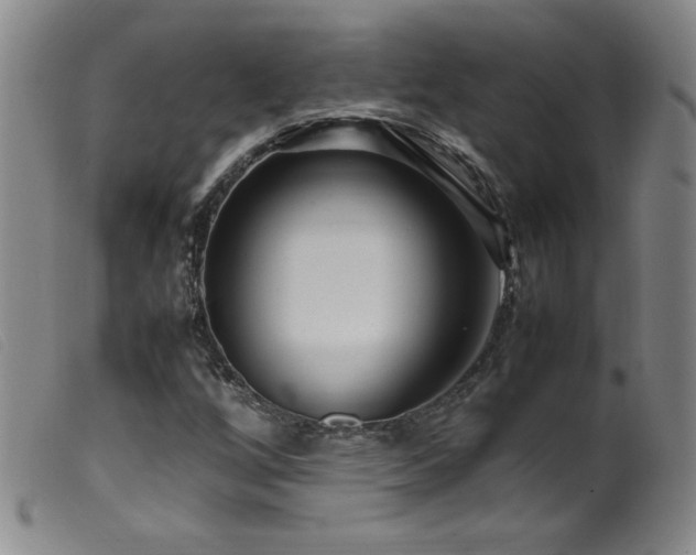 X0000099551256200805161443