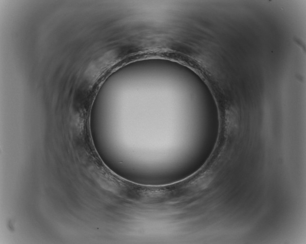 X0000099551257200805161443