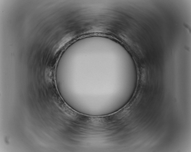 X0000099551258200805161443