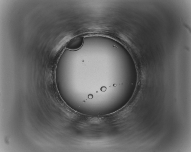 X0000099551259200805161443