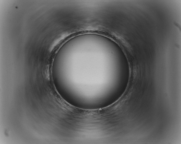 X0000099551262200805161443