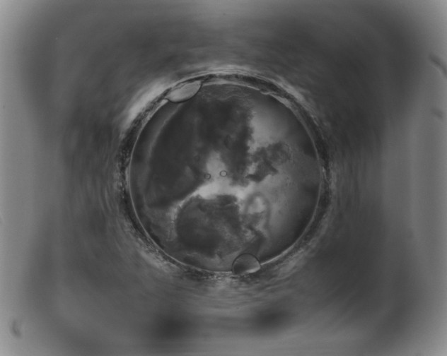 X0000099551263200805161443
