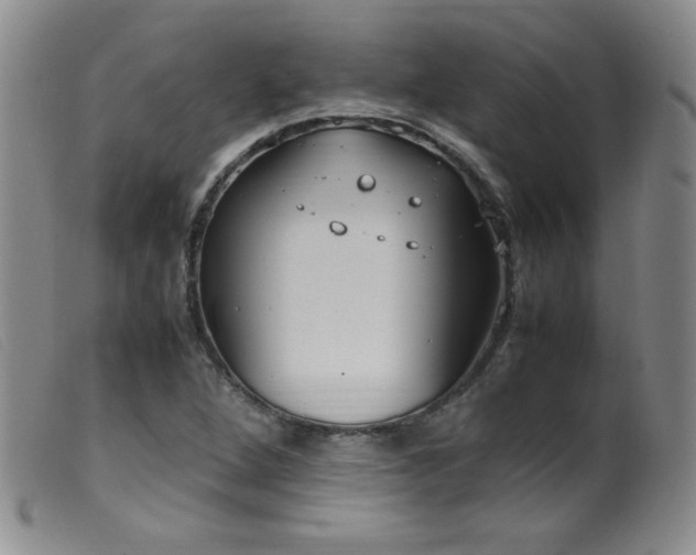 X0000099551264200805161443