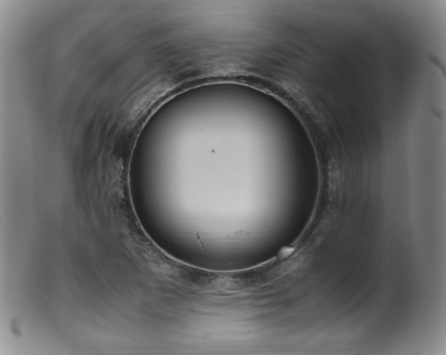 X0000099551265200805161443