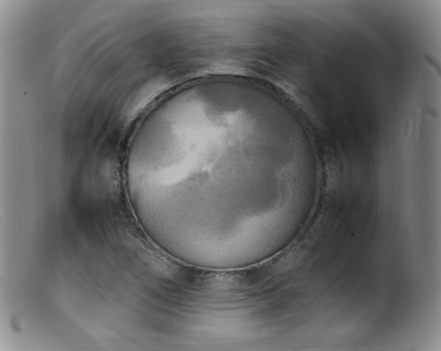 X0000099551266200805161443