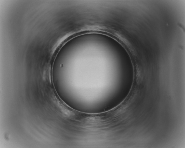 X0000099551272200805161443