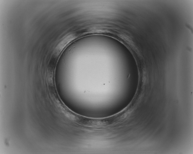 X0000099551273200805161443