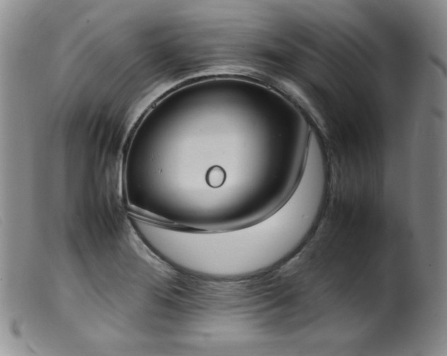 X0000099551276200805161442