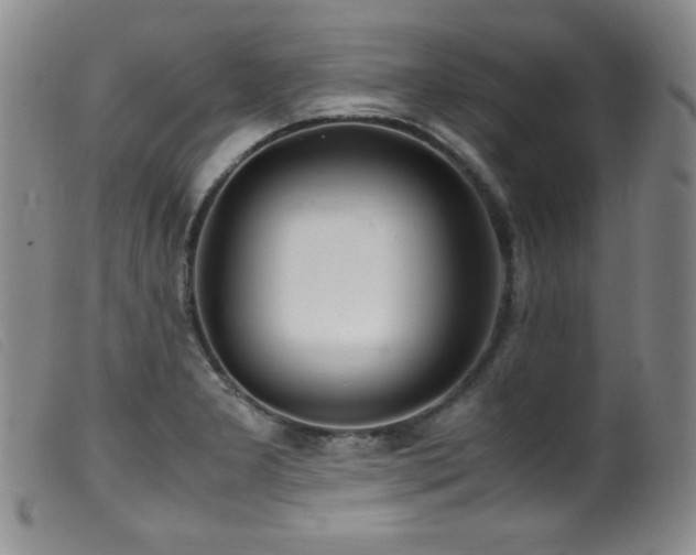 X0000099551277200805161442