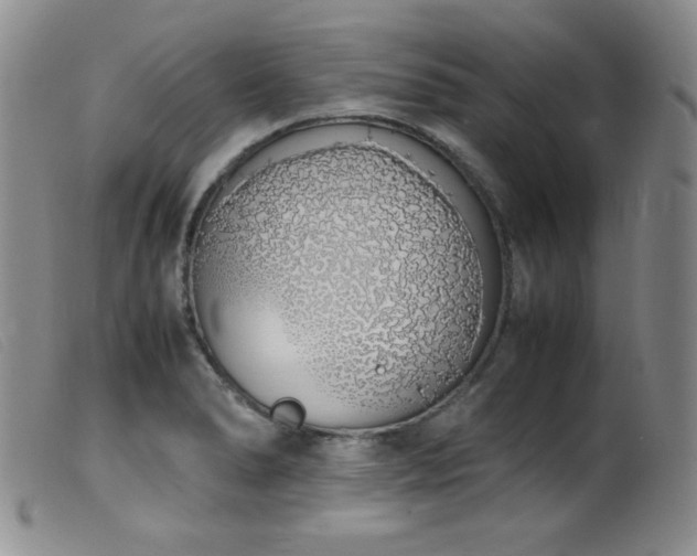 X0000099551278200805161442