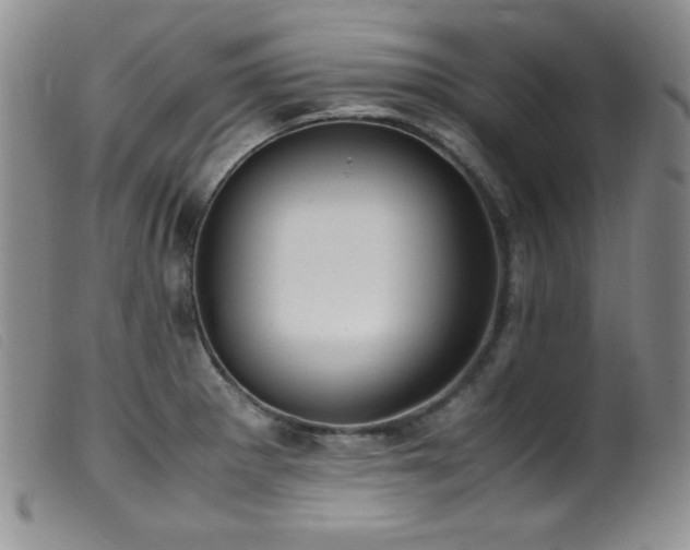X0000099551281200805161442
