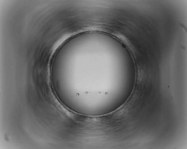 X0000099551286200805161442