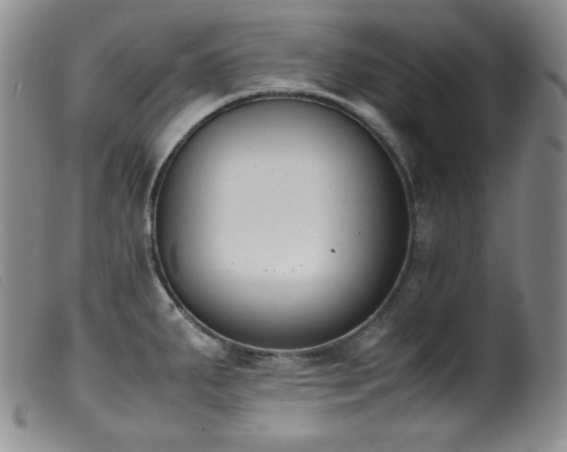 X0000099551287200805161442
