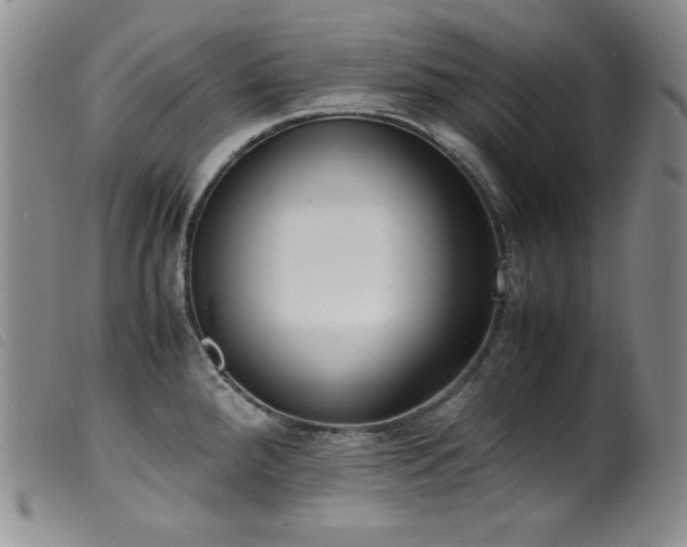 X0000099551288200805161442