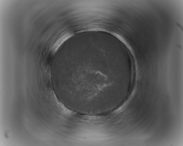 X0000099551289200805161442