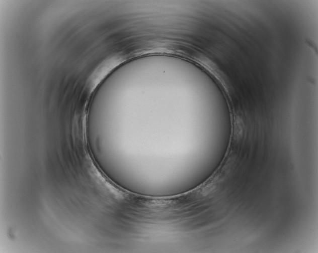 X0000099551290200805161442