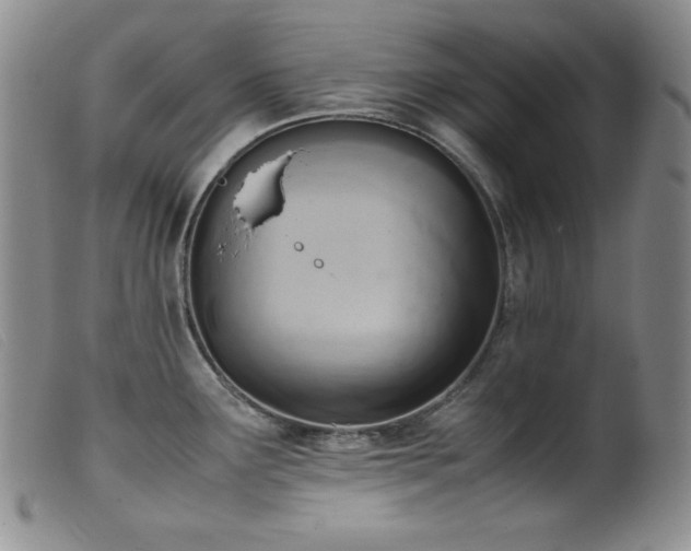 X0000099551291200805161442