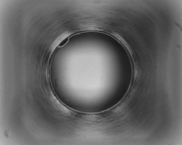 X0000099551293200805161442