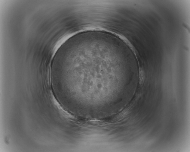 X0000099551295200805161442