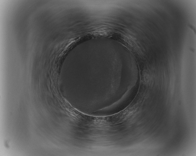 X0000099551297200805161441