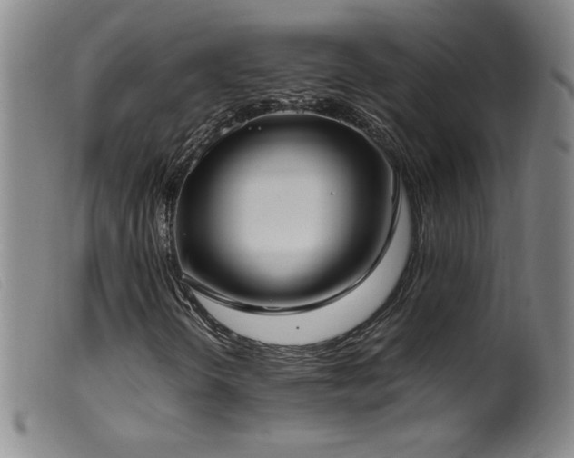 X0000099551298200805161442