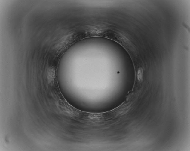 X0000099551299200805161442