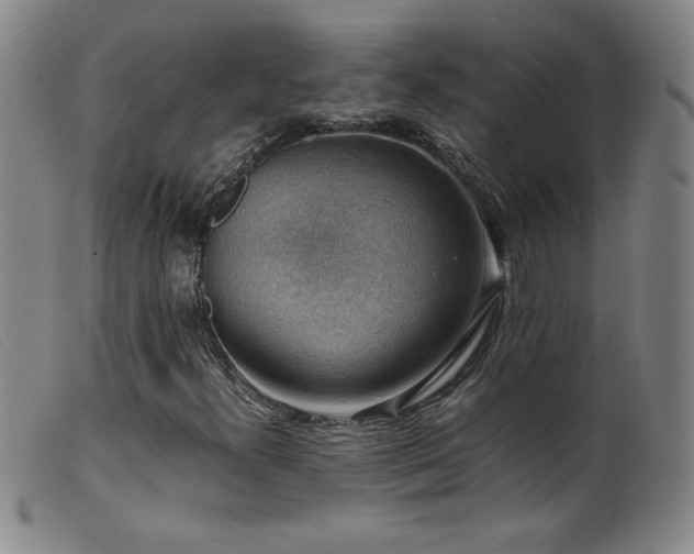 X0000099551300200805161442