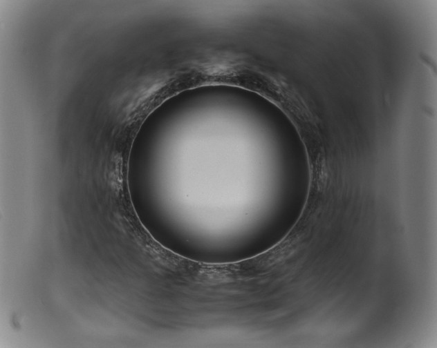 X0000099551301200805161442