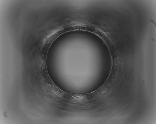 X0000099551303200805161442