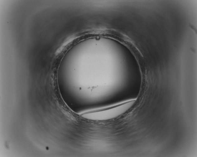 X0000099551304200805161442