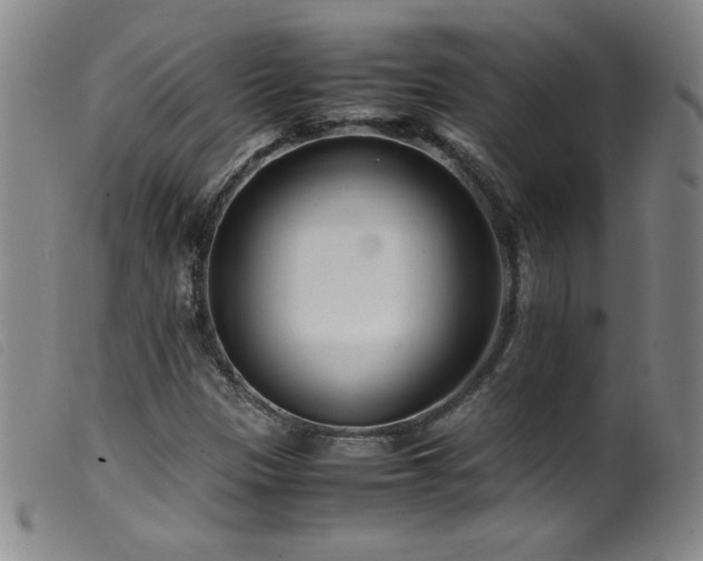 X0000099551305200805161442