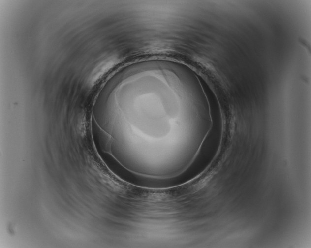 X0000099551306200805161442
