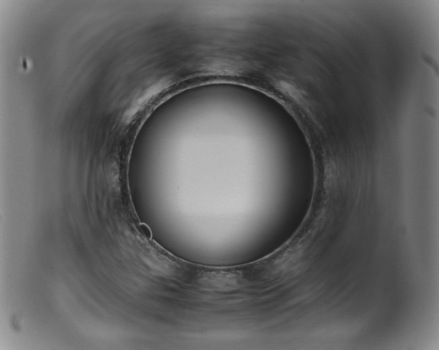 X0000099551307200805161442
